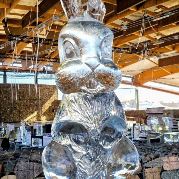 Ledus skulptūras “Ilūzijas spēks"