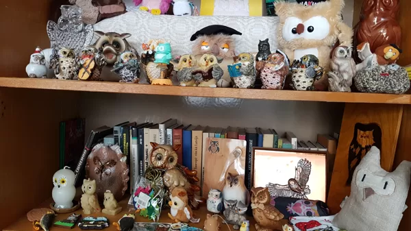 Pūces